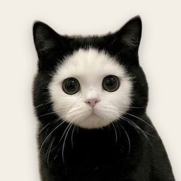 Mochi, a black cat with a white face that looks like a hood
